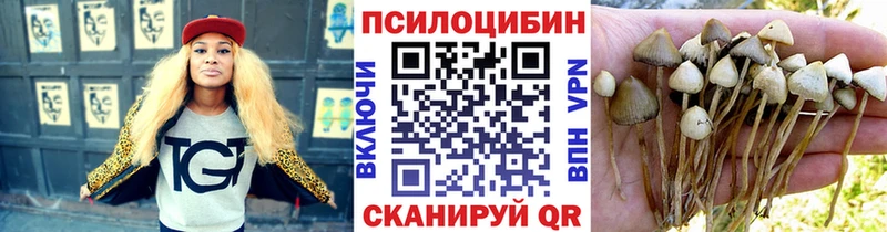 Галлюциногенные грибы ЛСД  магазин    Инза 