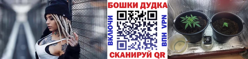 Конопля планчик  blacksprut как зайти  Инза 